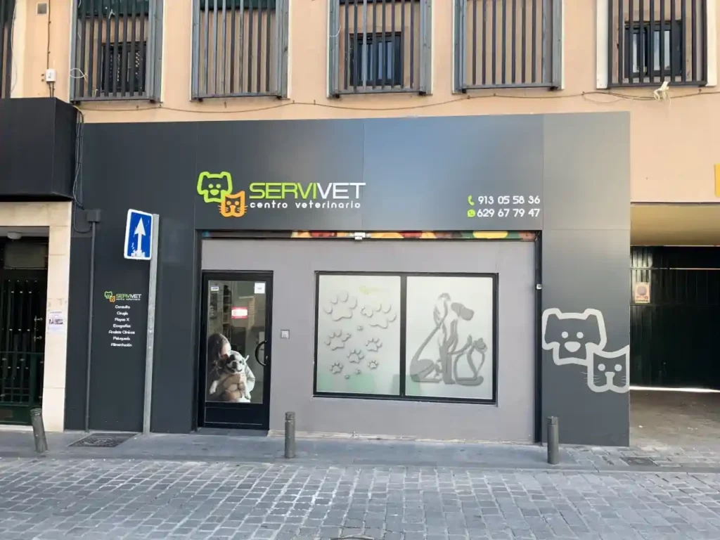 Pared en vinilo, resultado tras trabajos realizados
