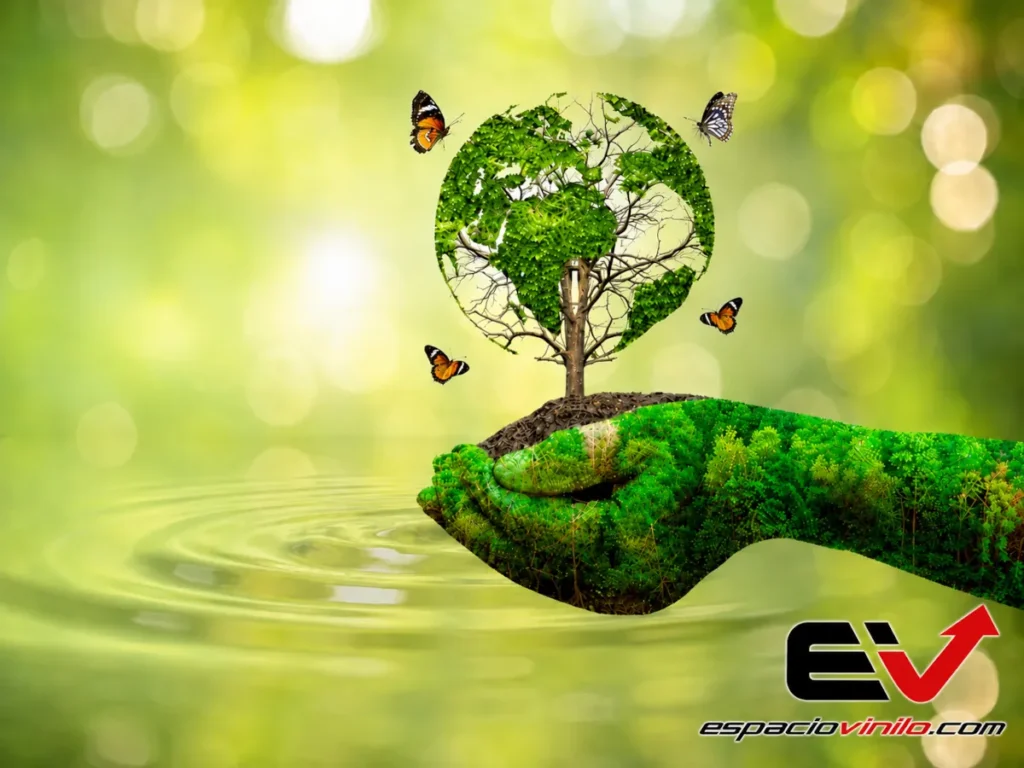 La innovación e impacto ambiental del vinilo y rotulación