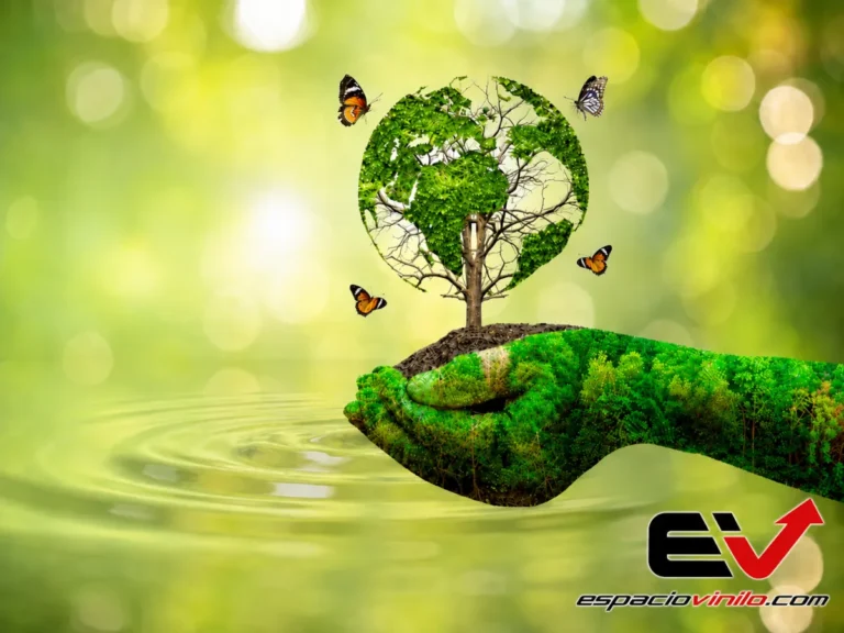 La innovación e impacto ambiental del vinilo y rotulación