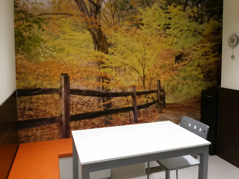 ¿Cómo decorar un apartamento para alquilar?