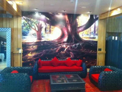 Composición artística y creativa en vinilo