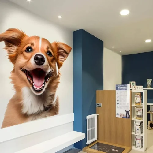 Donde comprar pegatinas en Madrid