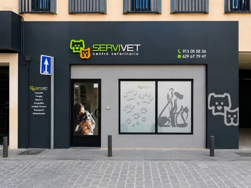 Espacio Vinilo