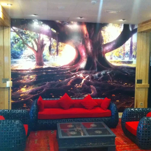 Fotomural para pared de sala de espera