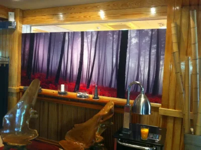 Fotomurales decorativos para locales y restaurantes